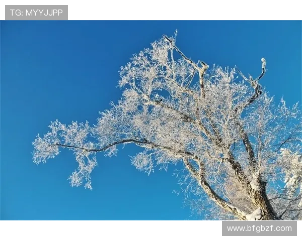八月下的雪：一场关于遗忘与重逢的奇遇
